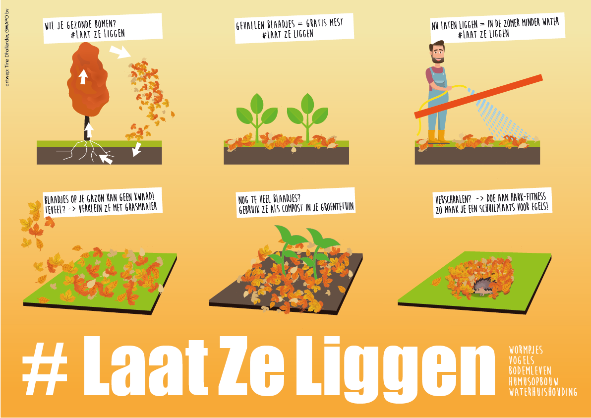 Laat ze liggen