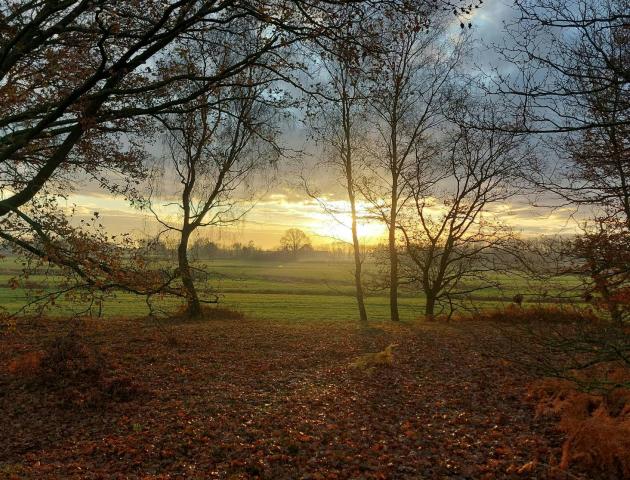 Landschapswandeling door de polder van Heindonk © Wim Dirckx
