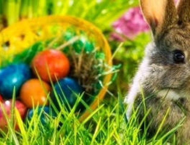 Paaseierenraap © Gezinsbond VZW