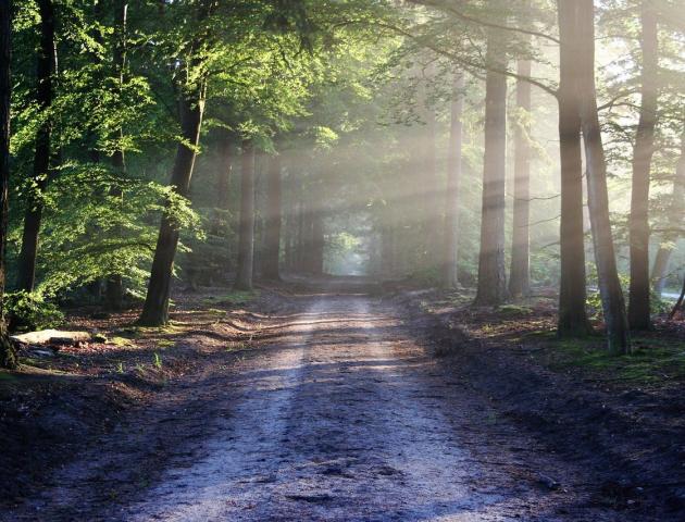 Waardig levenseinde - lezing door Wouter Matthijs van LEIF © Plazarama