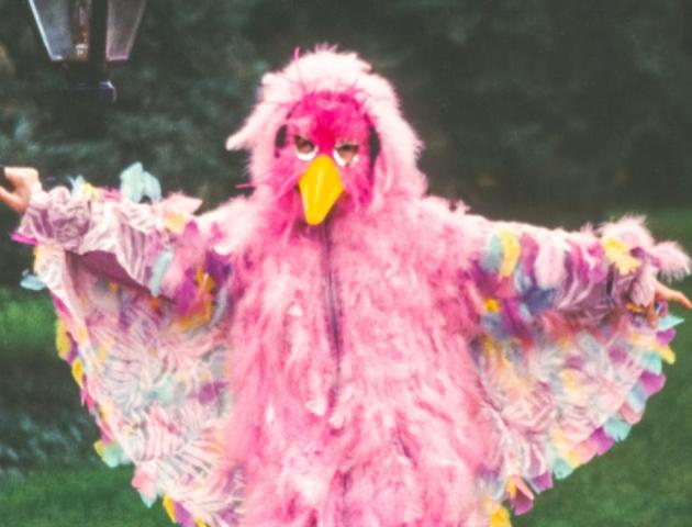 ANDRS (3+) | 4Hoog © ANDRS (3+) | 4Hoog