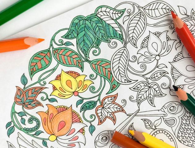 Kleuren voor volwassenen © Plazarama