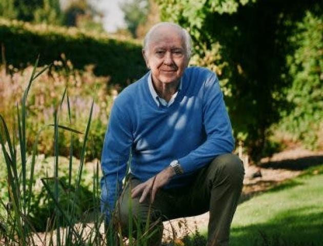 Voeding en allergieën - lezing door Eric De Marteleire © Eric De Marteleire
