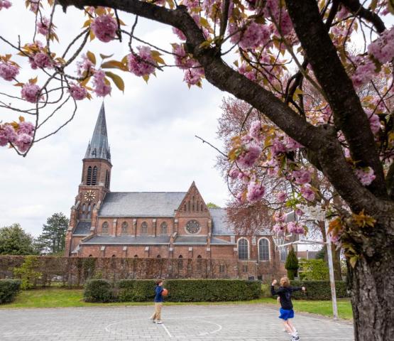 Blaasveld