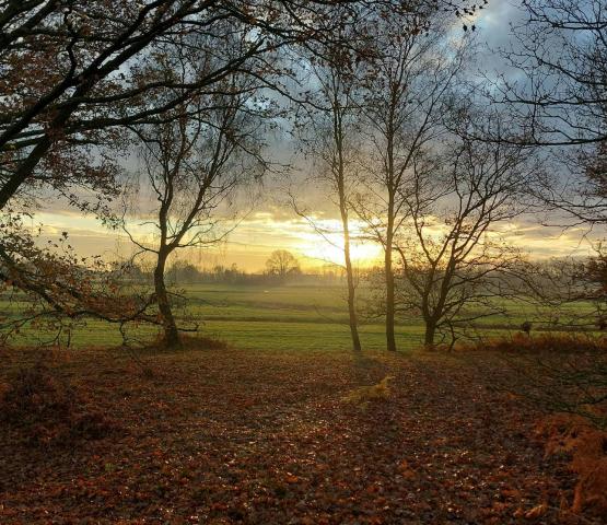 Landschapswandeling door de polder van Heindonk © Wim Dirckx