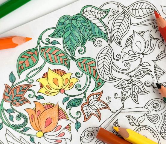 Kleuren voor volwassenen © Plazarama