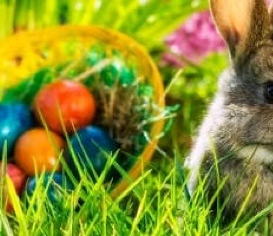 Paaseierenraap © Gezinsbond VZW