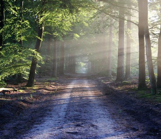 Waardig levenseinde - lezing door Wouter Matthijs van LEIF © Plazarama