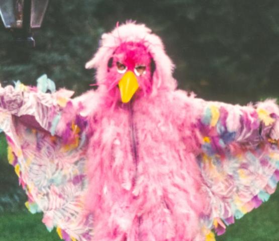 ANDRS (3+) | 4Hoog © ANDRS (3+) | 4Hoog