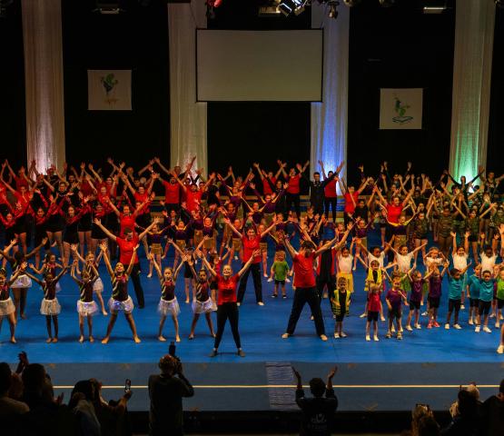 VTS Gymgala © M.V.