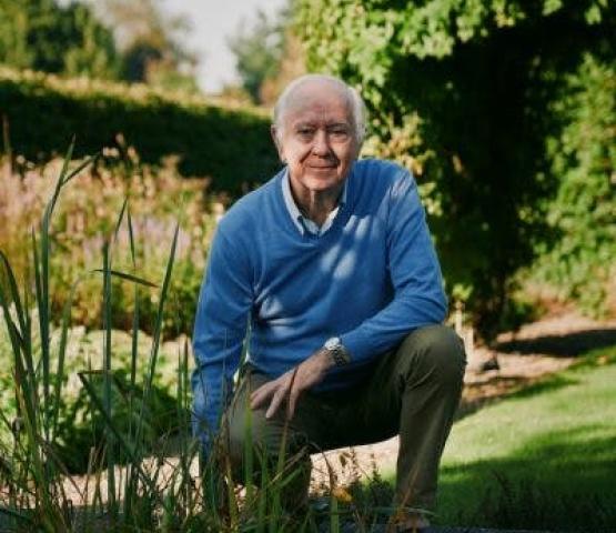 Voeding en allergieën - lezing door Eric De Marteleire © Eric De Marteleire